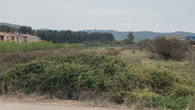 Landgrundstück zu verkaufen in Alcalà de Xivert pueblo, Alcalá de Xivert - 37.800 € (Ref: 10078609)