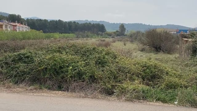 Landgrundstück zu verkaufen in Alcalà de Xivert pueblo, Alcalá de Xivert - 37.800 € (Ref: 10078609)