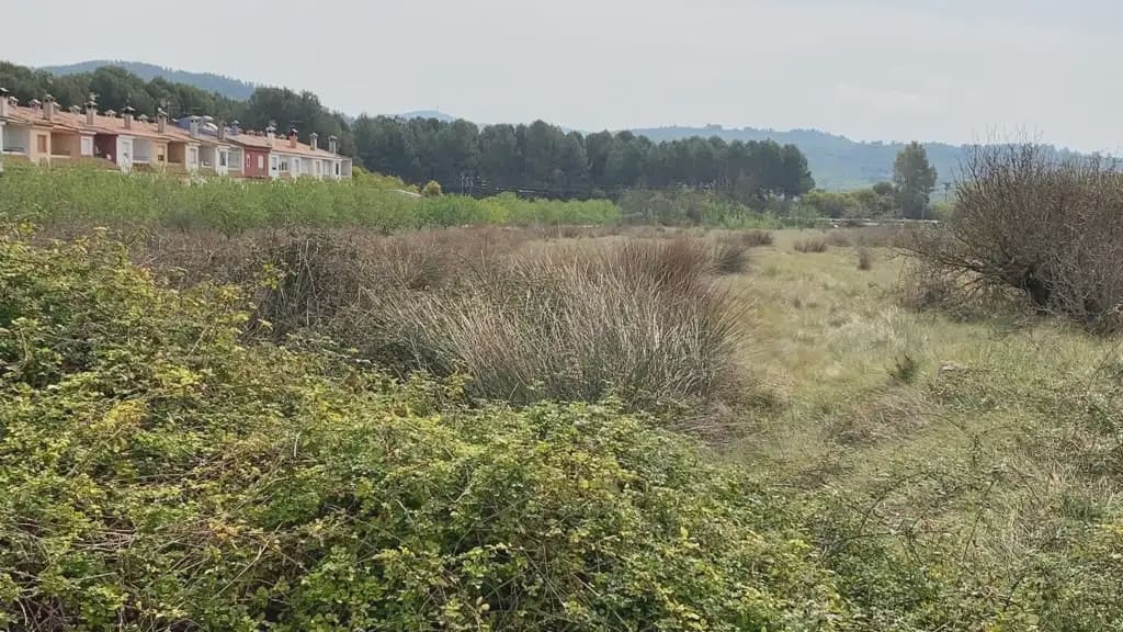 Terreno/Finca Rústica en Alcalá de Xivert en venta - 37.800 € (Ref: 10078609)