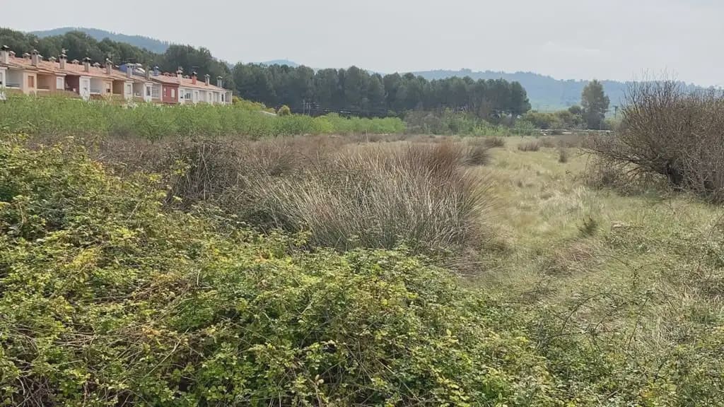Terreno/Finca Rústica en Alcalá de Xivert en venta - 37.800 € (Ref: 10078609)
