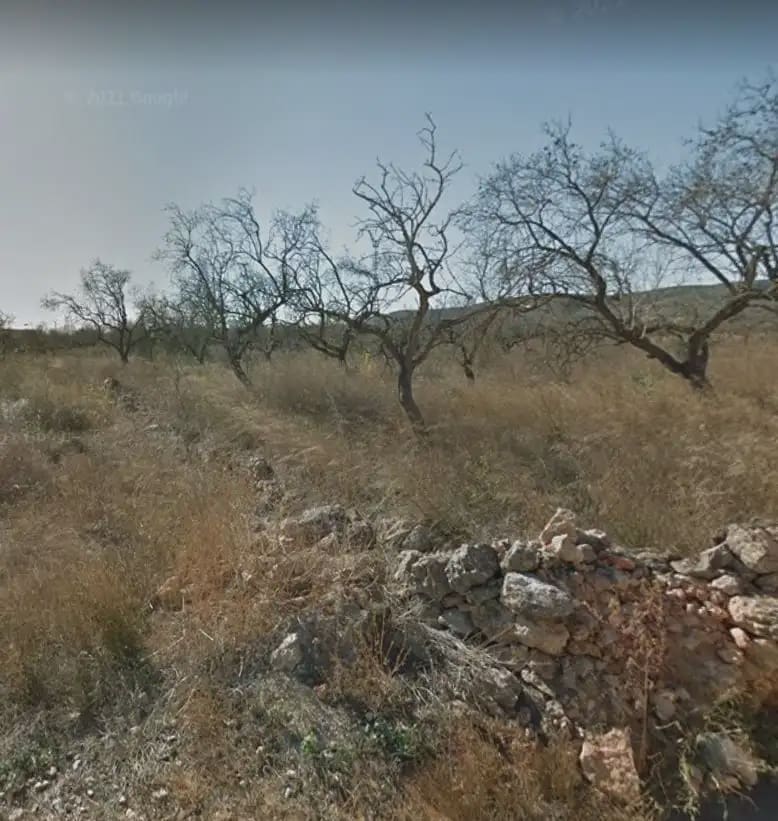 Solar/Parcela en Alcalá de Xivert en venta - 40.575 € (Ref: 10078611)
