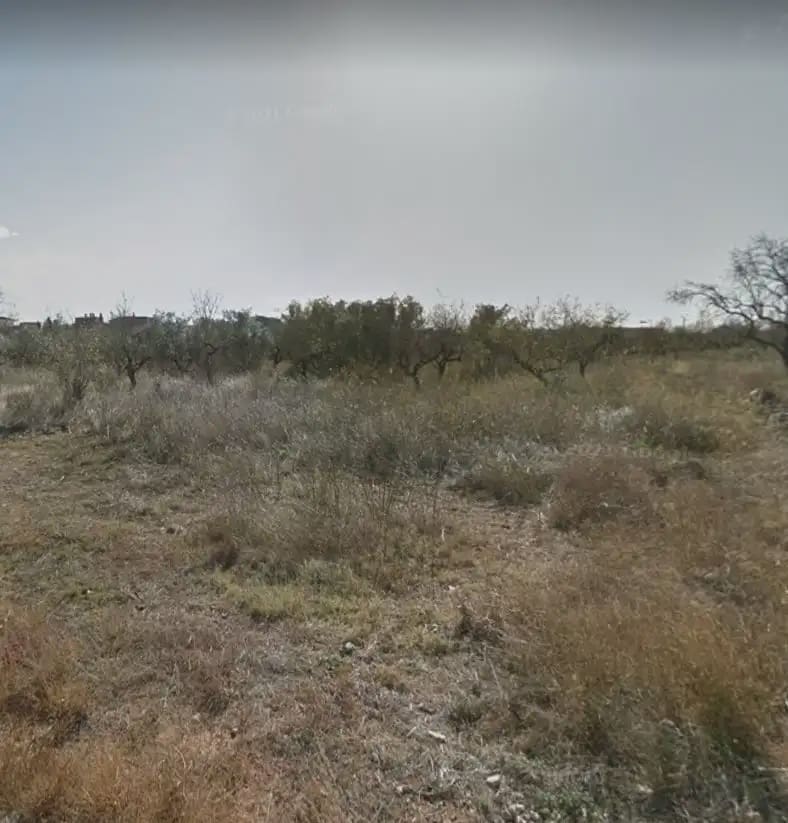 Solar/Parcela en Alcalá de Xivert en venta - 40.575 € (Ref: 10078611)