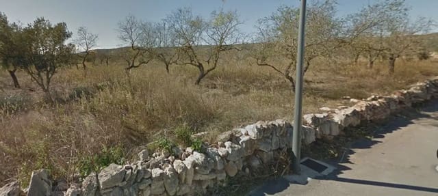 Bauplatz zu verkaufen in Alcalà de Xivert pueblo, Alcalá de Xivert - 45.000 € (Ref: 10078614)