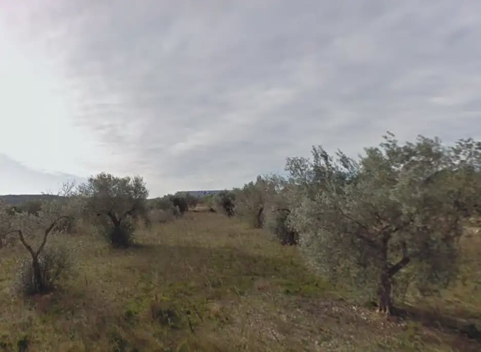 Terreno/Finca Rústica en Les Coves de Vinromà en venta - 48.000 € (Ref: 10078617)