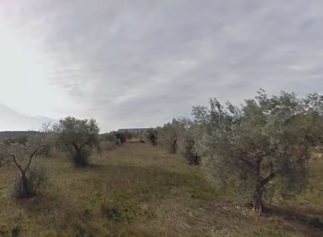 Grond te koop in Les Coves de Vinromà - € 48.000 (Ref: 10078617)