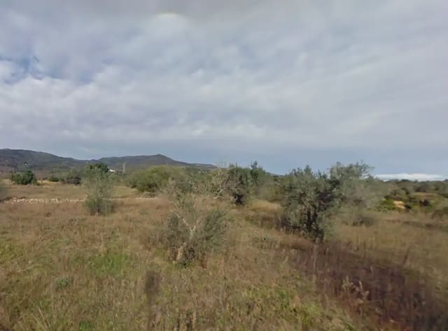 Grond te koop in Les Coves de Vinromà - € 48.000 (Ref: 10078617)
