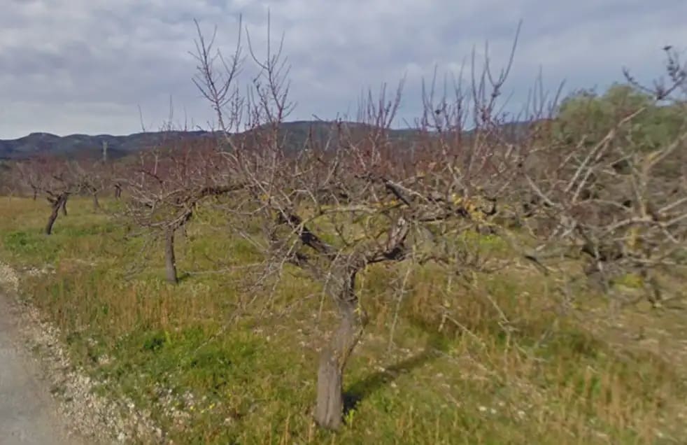 Terreno/Finca Rústica en Les Coves de Vinromà en venta - 48.000 € (Ref: 10078617)