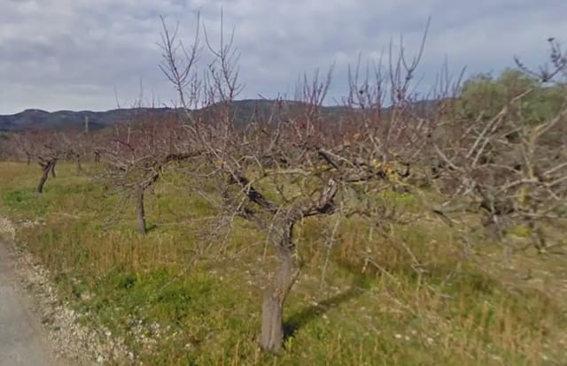 Grond te koop in Les Coves de Vinromà - € 48.000 (Ref: 10078617)