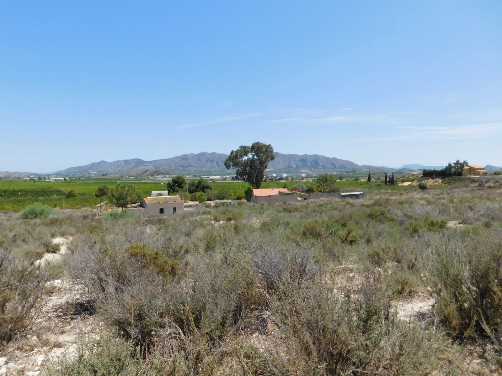 Mark till salu i Fortuna - 80 000 € (Ref: 8467327)