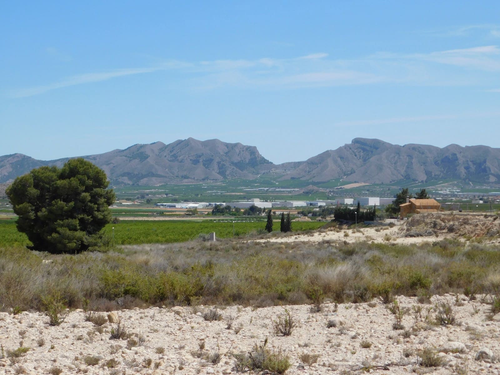 Mark till salu i Fortuna - 80 000 € (Ref: 8467327)