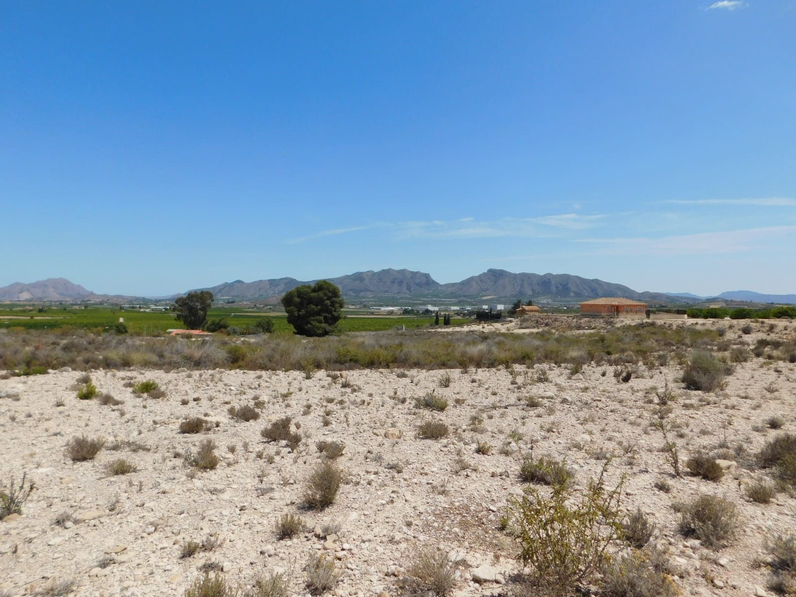 Mark till salu i Fortuna - 80 000 € (Ref: 8467327)