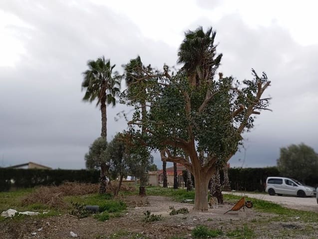 3 sypialnia Willa na sprzedaż w Daya Vieja z basenem - 284 000 € (Ref: 9552639)