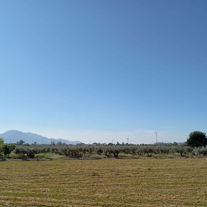 2 makuuhuone Omakotitalo myytävänä paikassa Catral mukana uima-altaan - 159 995 € (Ref: 9650674)