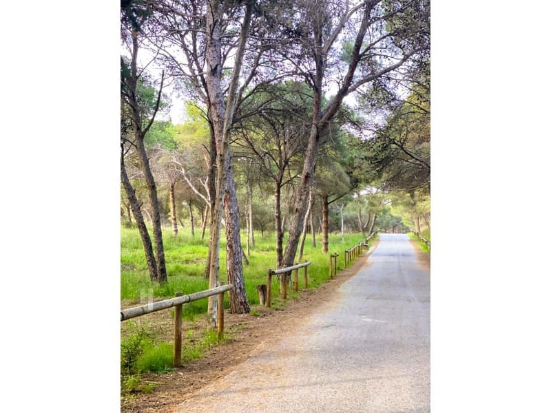 3 soverom Leilighet til salgs i Guardamar del Segura med svømmebasseng - € 369 900 (Ref: 9696663)