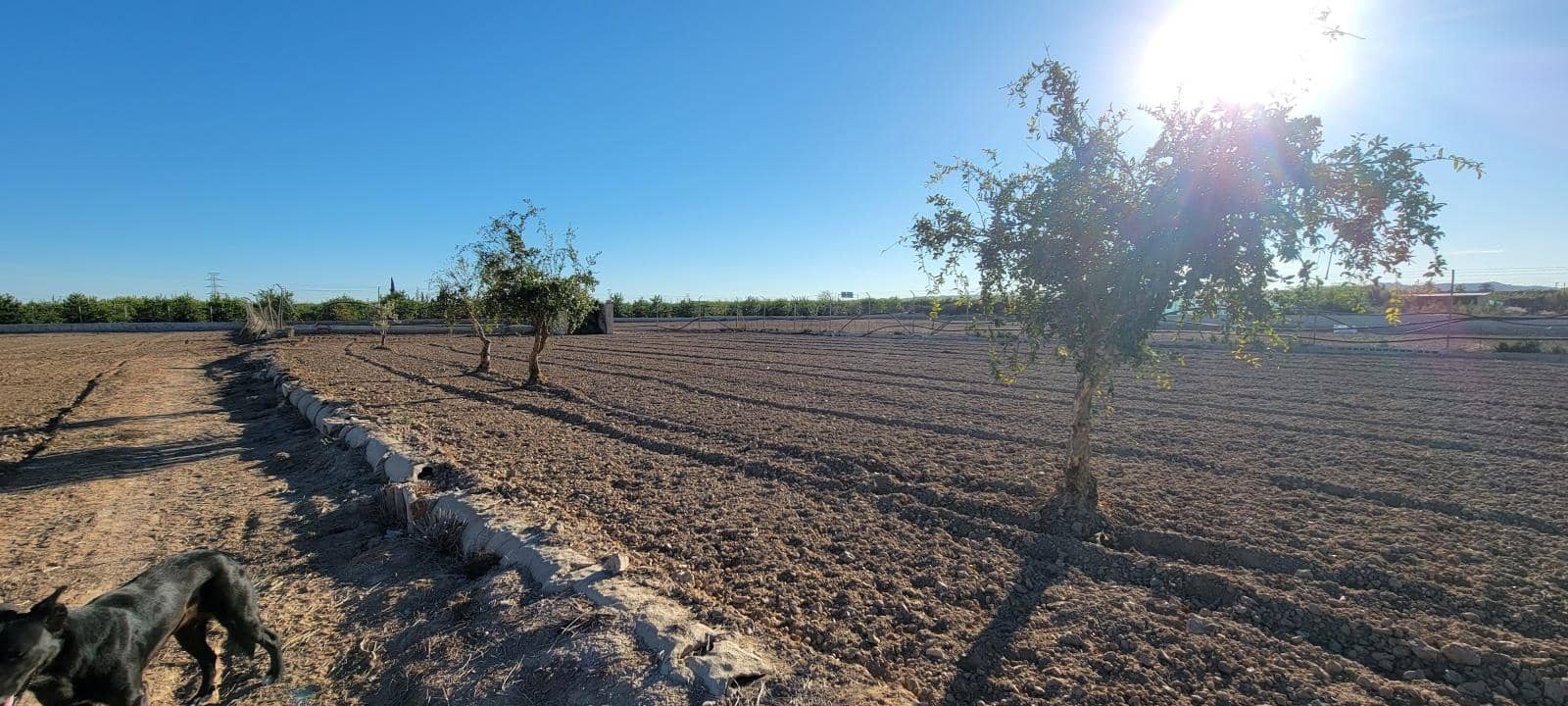 1 soverom Finca/Herregård til salgs i San Miguel de Salinas med svømmebasseng - € 370 000 (Ref: 9696897)