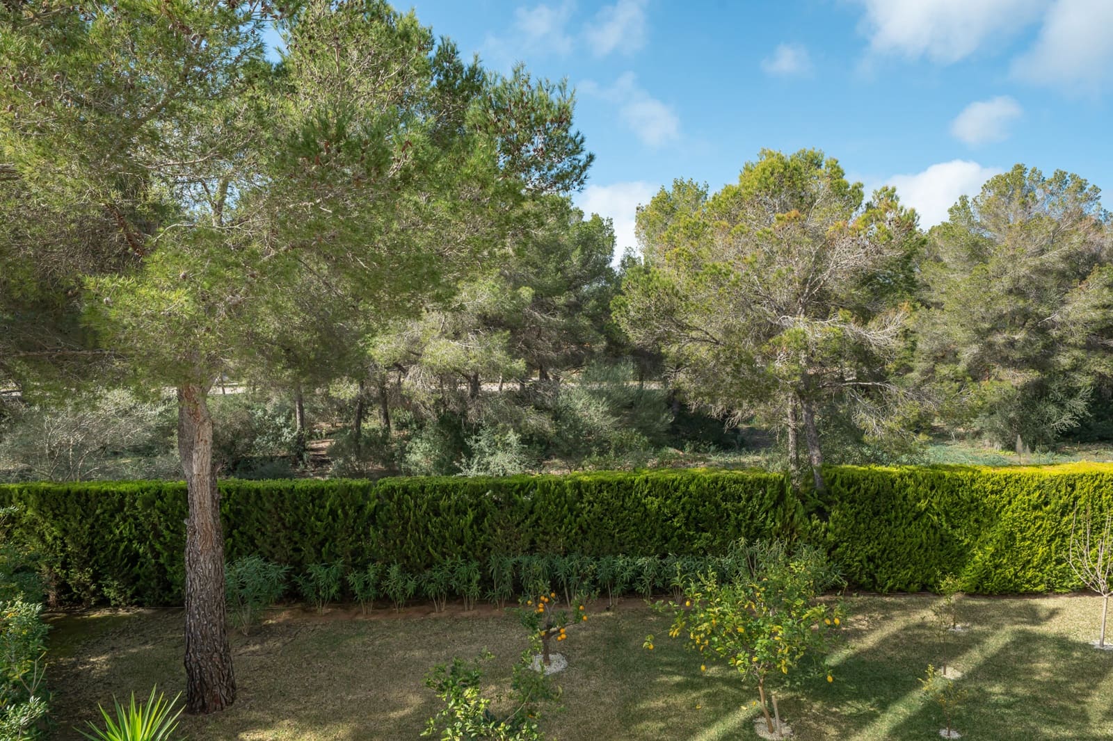 3 slaapkamer Appartement te koop in Santa Ponsa - € 1.175.000 (Ref: 8825158)