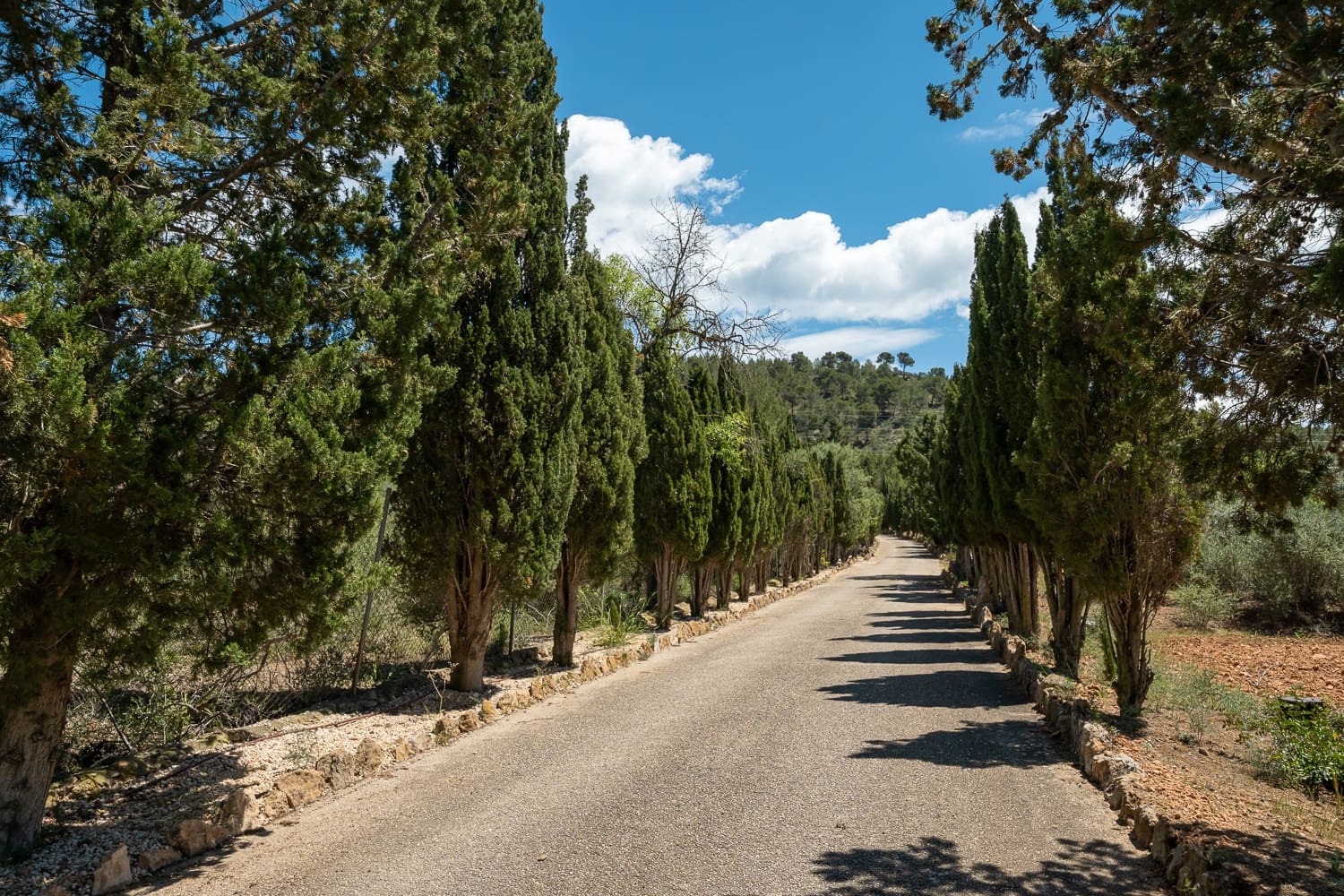 5 soveværelse Finca/Landehus til salg i Calvia med swimmingpool - € 2.170.000 (Ref: 8848954)