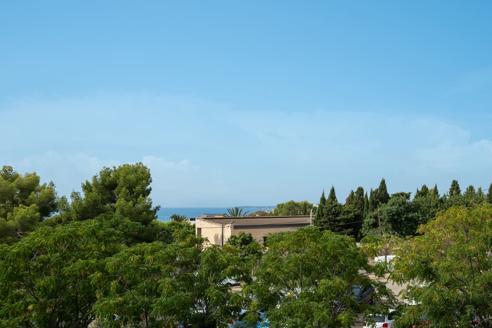 1 camera da letto Appartamento in vendita in Palma de Mallorca - 850.000 € (Rif: 9206407)