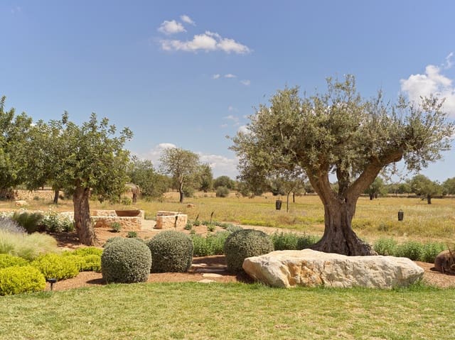 Finca/Casa Rural de 5 habitaciones en Llucmajor en venta con piscina - 4.450.000 € (Ref: 9673945)