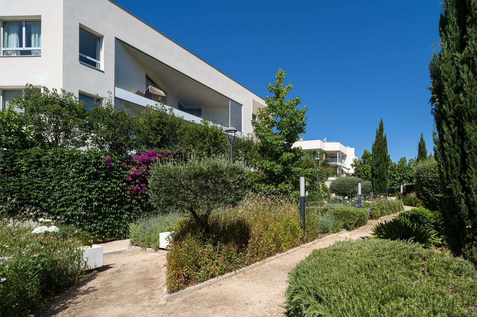 3 bedroom Apartment for rent in Palma de Mallorca with pool garage - € 4,200 (Ref: 9901618)