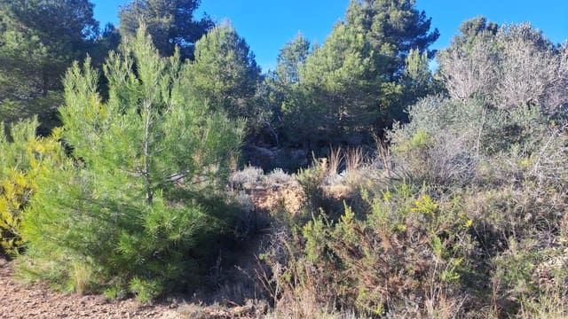 Undeveloped Land for sale in Benissa - € 450,000 (Ref: 7989727)