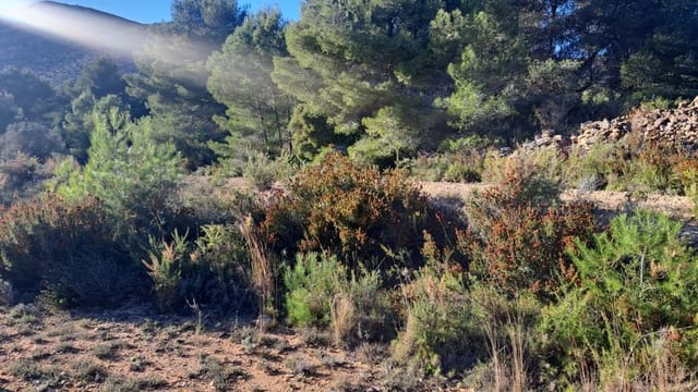 Undeveloped Land for sale in Benissa - € 450,000 (Ref: 7989727)