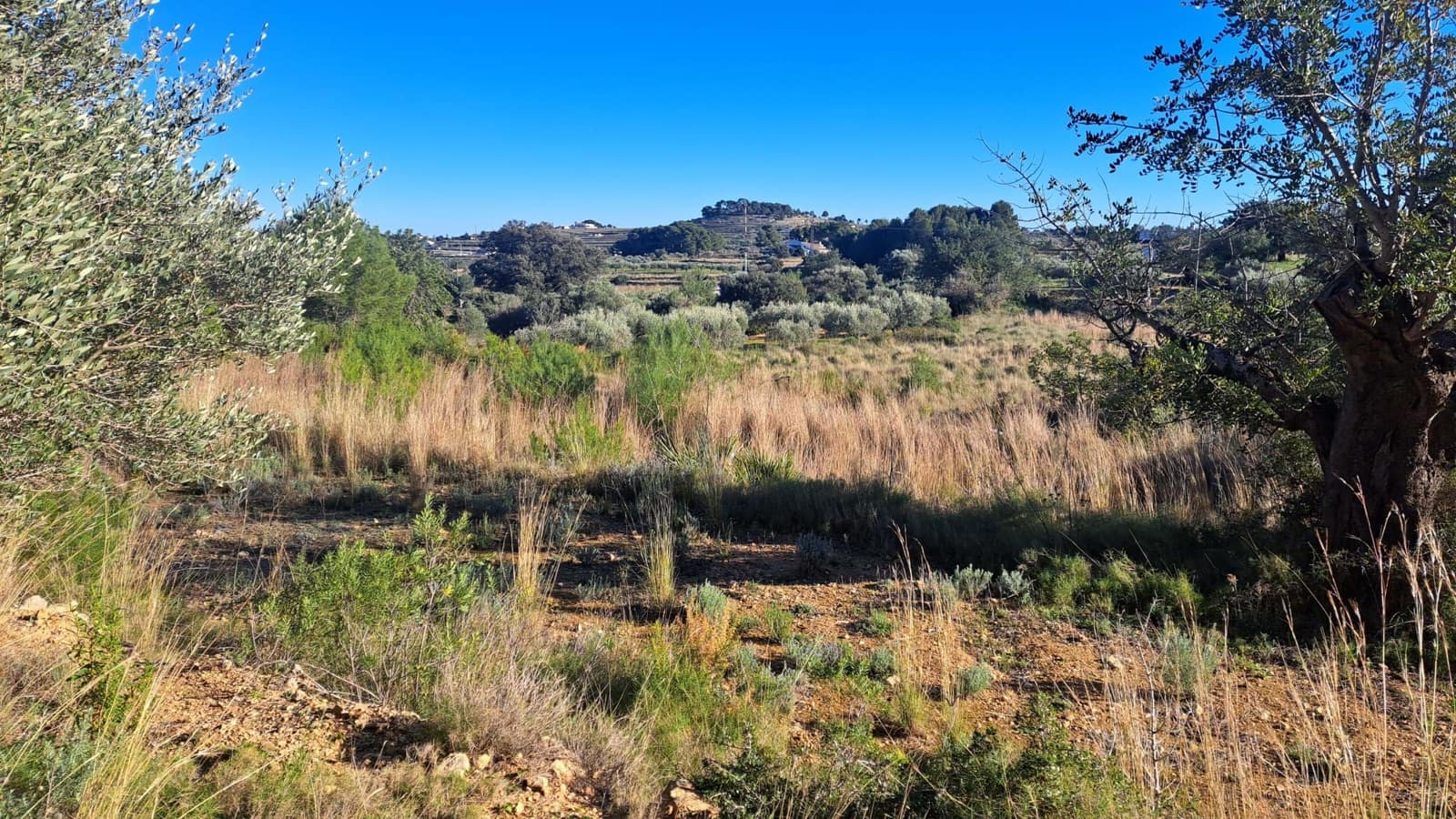 Grond te koop in Benissa - € 450.000 (Ref: 7989727)