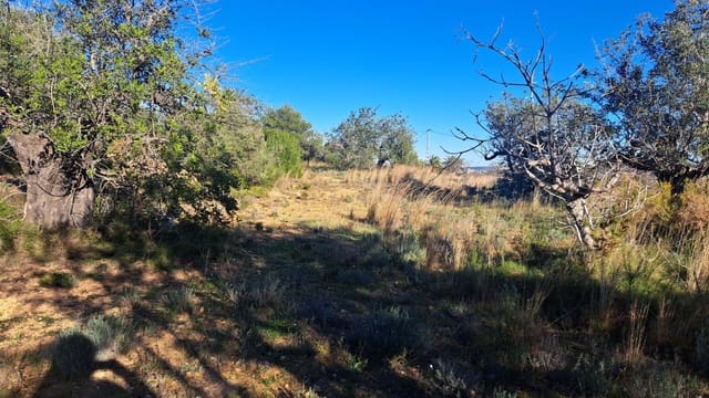 Undeveloped Land for sale in Benissa - € 450,000 (Ref: 7989727)