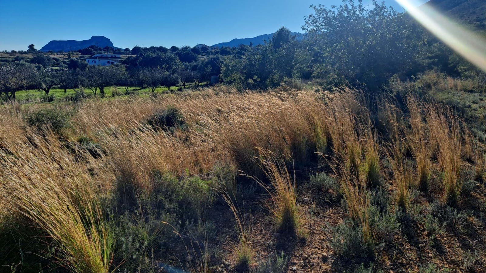 Grond te koop in Benissa - € 450.000 (Ref: 7989727)