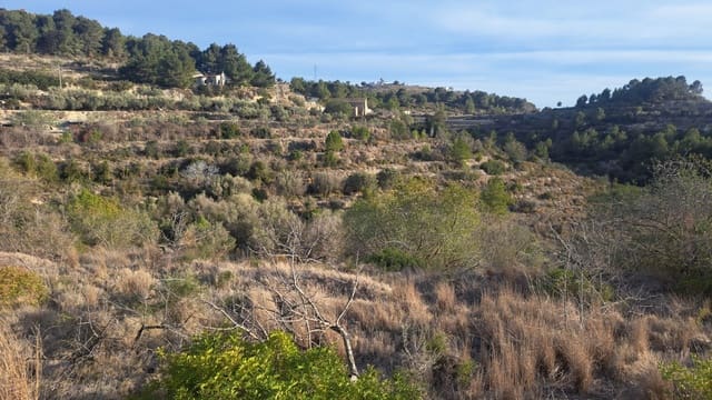 Terreno/Finca Rústica en Benissa en venta - 239.000 € (Ref: 8543265)