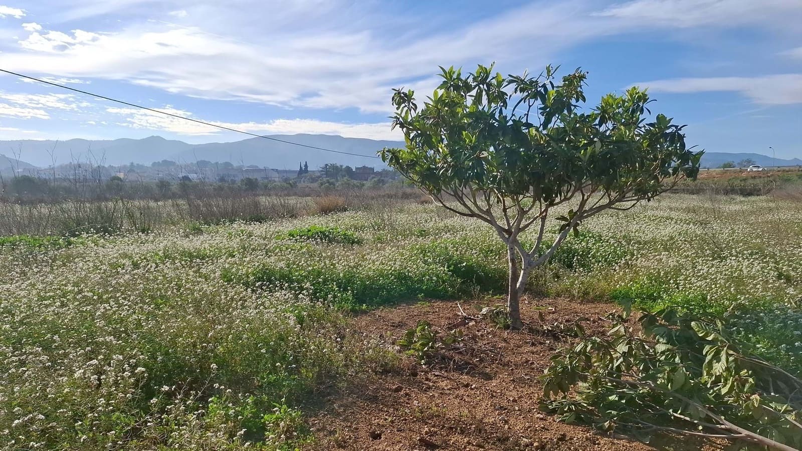 Grond te koop in Ondara - € 114.000 (Ref: 8728891)