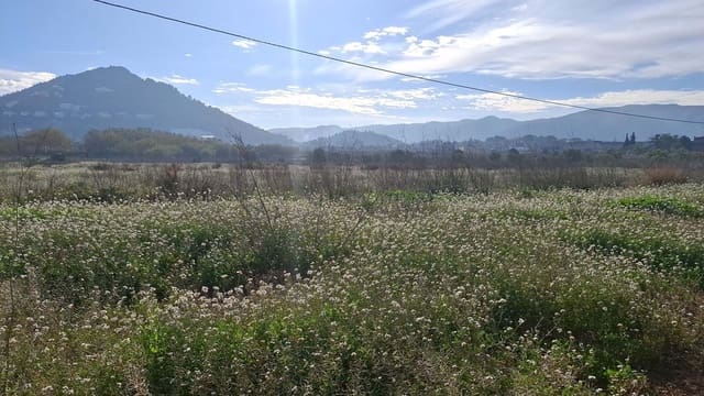 Undeveloped Land for sale in Ondara - € 114,000 (Ref: 8728891)