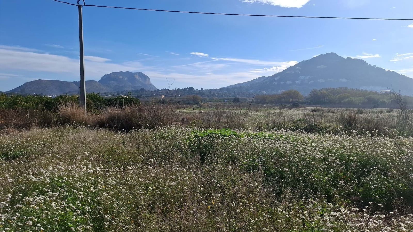 Grond te koop in Ondara - € 114.000 (Ref: 8728891)