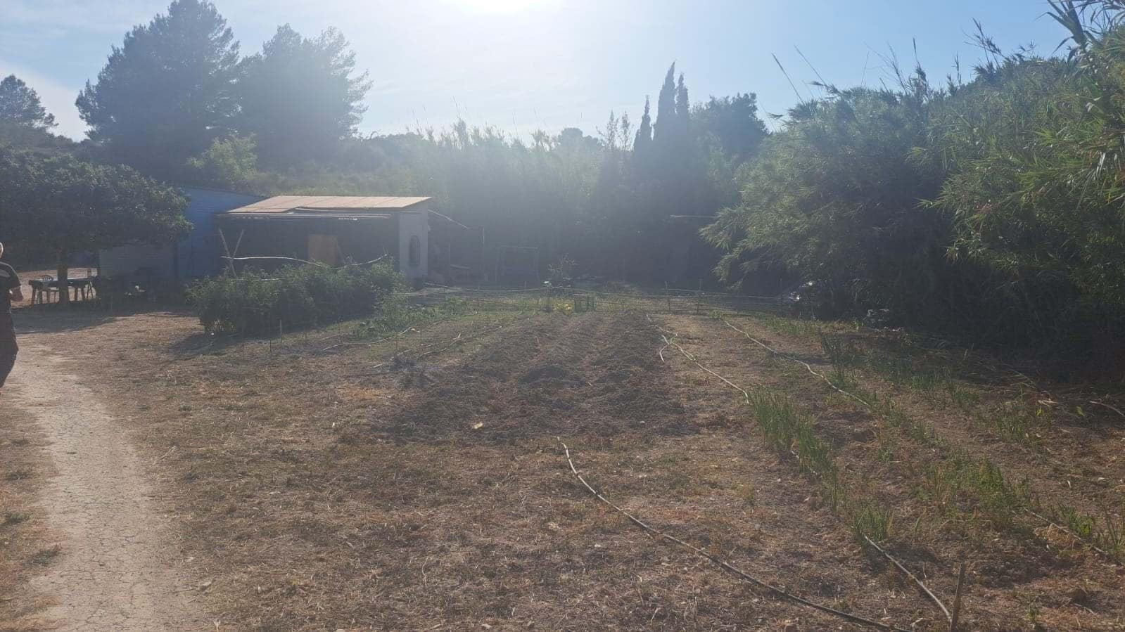 Grunde uden byggetilladelser til salg i Teulada - € 199.000 (Ref: 9187654)