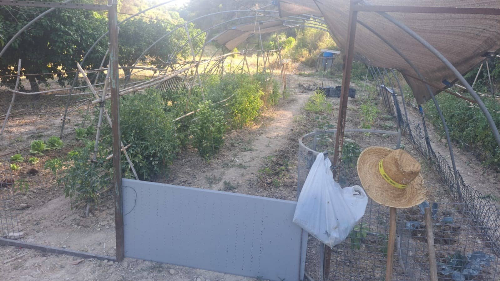 Grunde uden byggetilladelser til salg i Teulada - € 199.000 (Ref: 9187654)