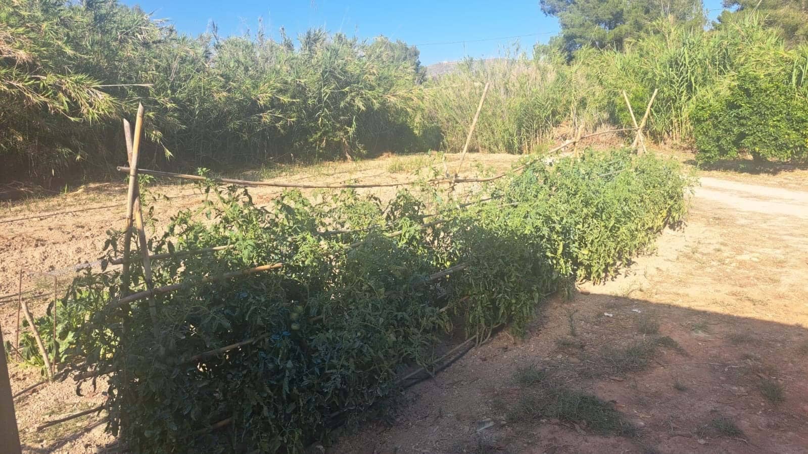 Grunde uden byggetilladelser til salg i Teulada - € 199.000 (Ref: 9187654)