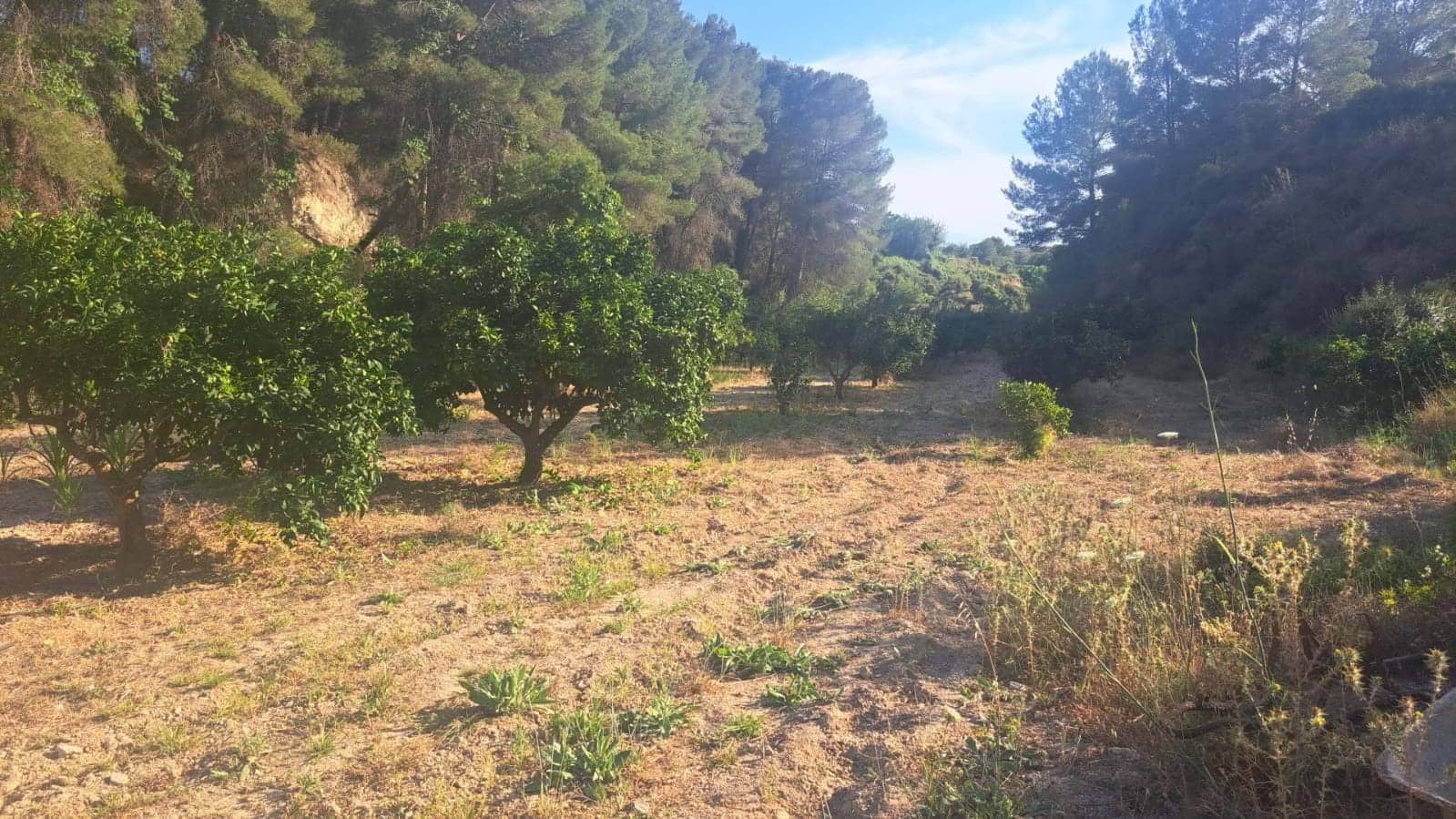 Grunde uden byggetilladelser til salg i Teulada - € 199.000 (Ref: 9187654)