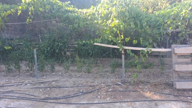 Grunde uden byggetilladelser til salg i Teulada Pueblo, Teulada-Moraira - € 199.000 (Ref: 9187654)