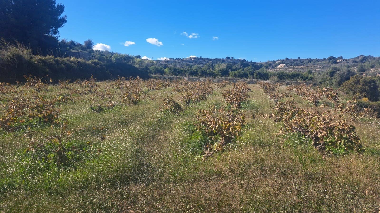 4 bedroom Finca/Country House for sale in Teulada with pool garage - € 590,000 (Ref: 9404669)