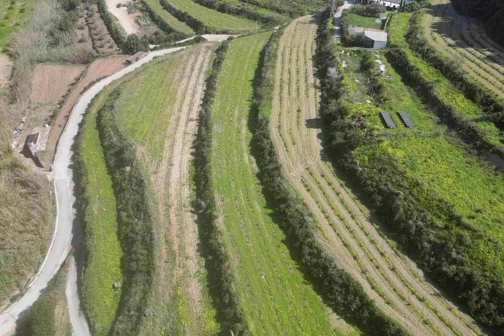 4 bedroom Finca/Country House for sale in Teulada with pool garage - € 585,000 (Ref: 9404669)