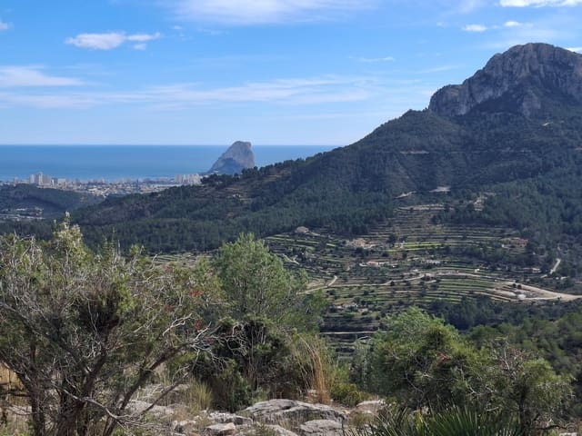 2 slaapkamer Finca/Landhuis te koop in Benissa - € 499.000 (Ref: 9603025)