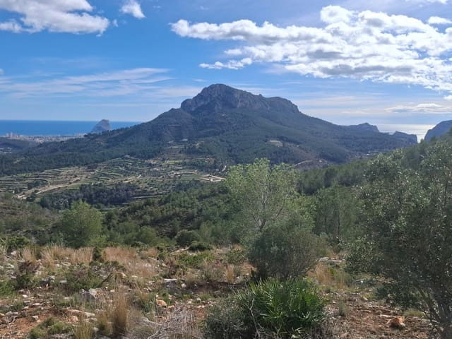 2 slaapkamer Finca/Landhuis te koop in Benissa - € 499.000 (Ref: 9603025)