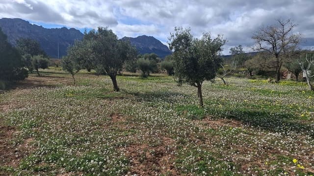 2 slaapkamer Finca/Landhuis te koop in Benissa - € 499.000 (Ref: 9603025)