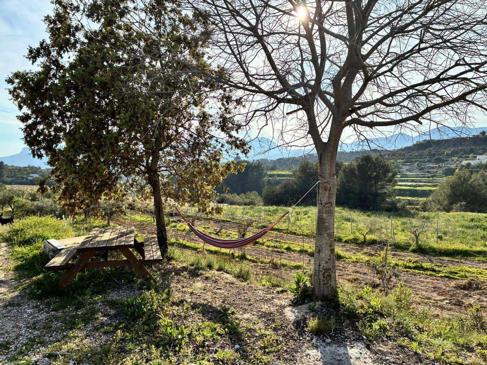 Finca/Casa Rural de 4 habitaciones en Benissa en venta - 670.000 € (Ref: 9720577)