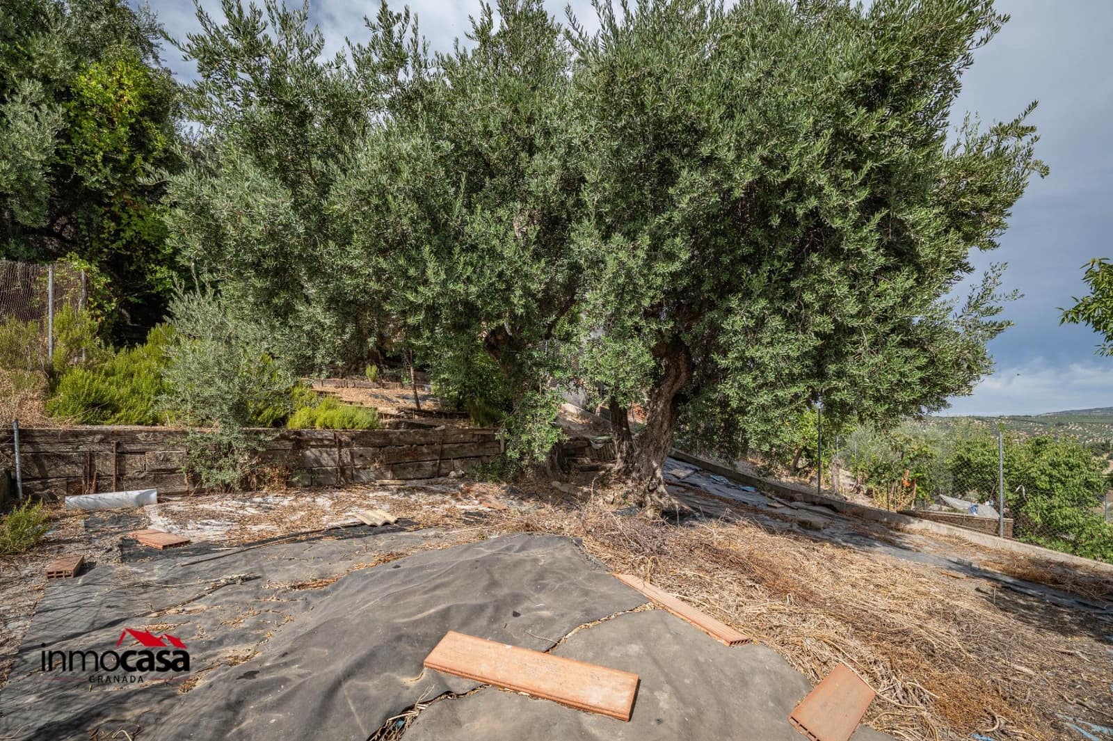 3 bedroom Finca/Country House for sale in Montefrio - € 95,000 (Ref: 10043156)