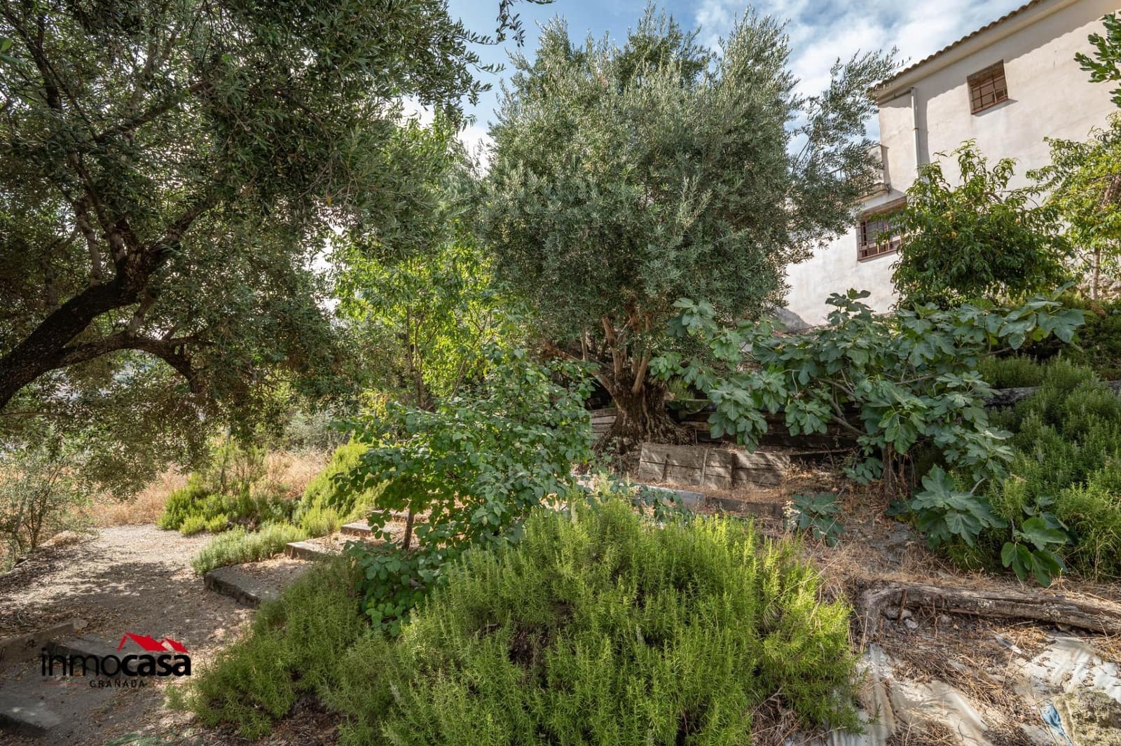 3 bedroom Finca/Country House for sale in Montefrio - € 95,000 (Ref: 10043156)