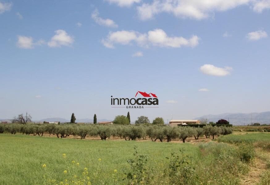 Ubebygd land til salgs i Las Gabias - € 45 000 (Ref: 10047474)