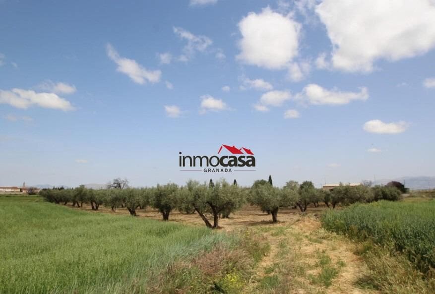 Ubebygd land til salgs i Las Gabias - € 45 000 (Ref: 10047474)