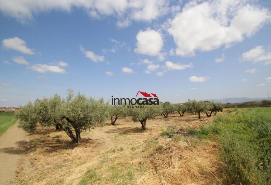 Ubebygd land til salgs i Las Gabias - € 45 000 (Ref: 10047474)