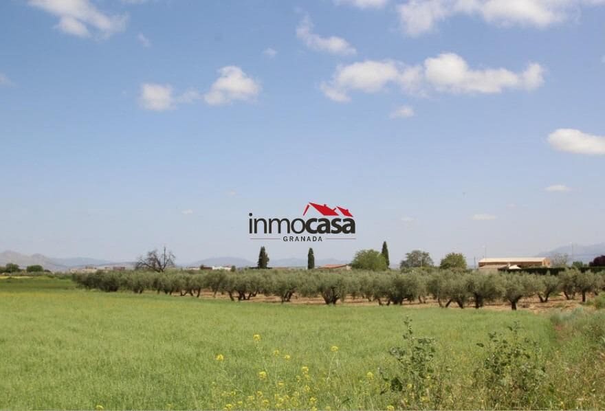 Ubebygd land til salgs i Las Gabias - € 45 000 (Ref: 10047474)